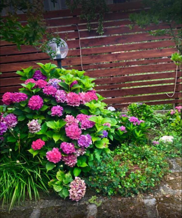 Apartamento Il Giardino Segreto Carbognano Exterior foto